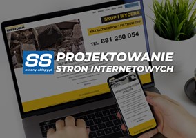 Strony internetowe Inowrocław - profesjonalne, tanie